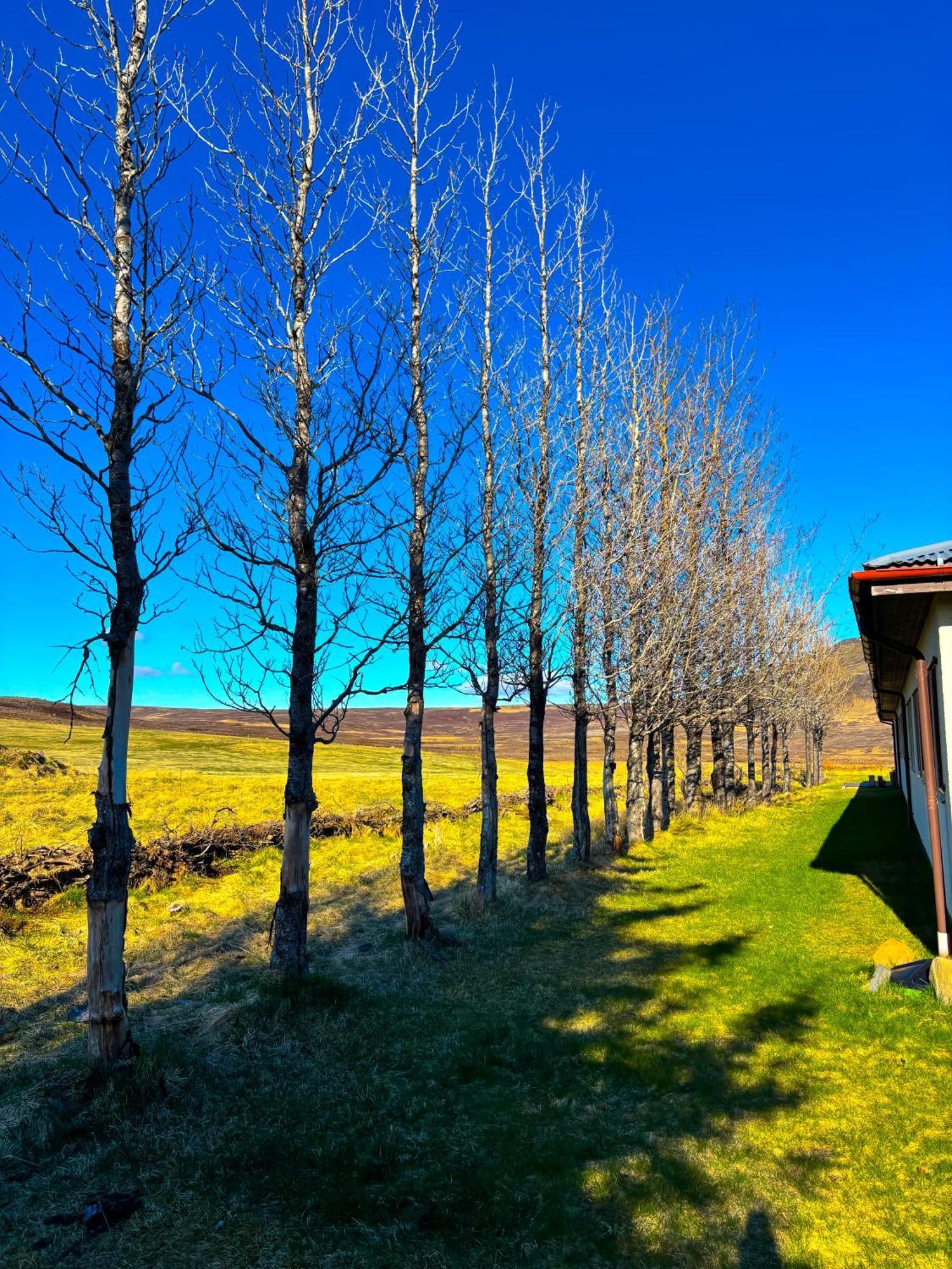 Hotel Bru Country Estate à Selfoss Extérieur photo