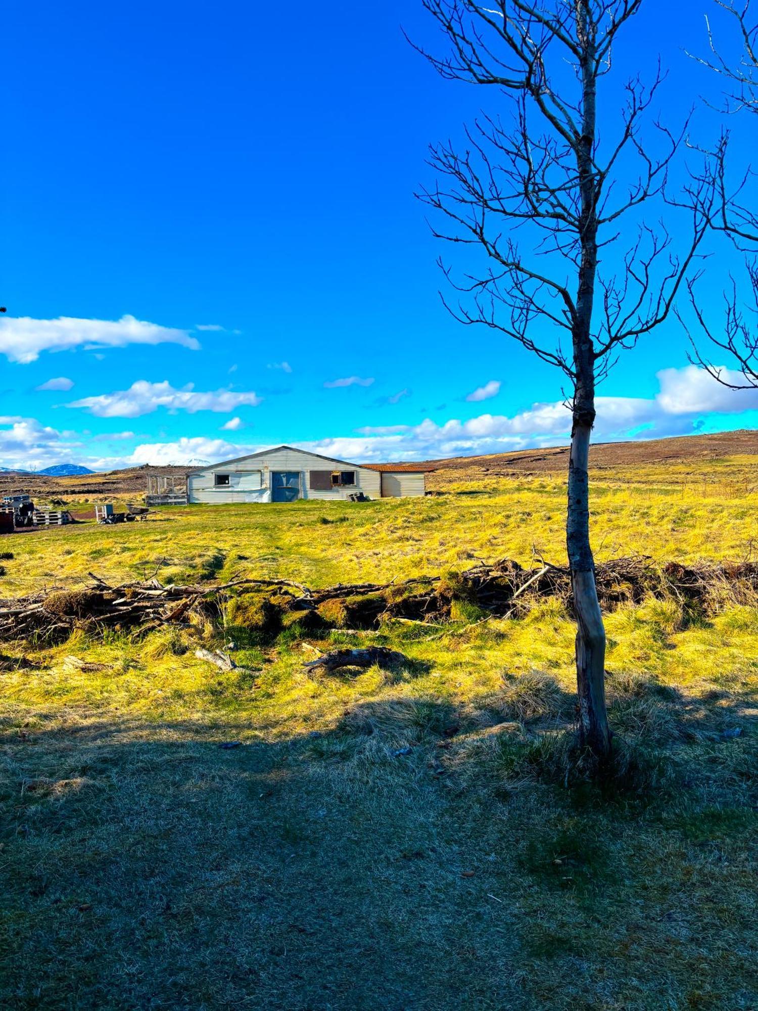 Hotel Bru Country Estate à Selfoss Extérieur photo